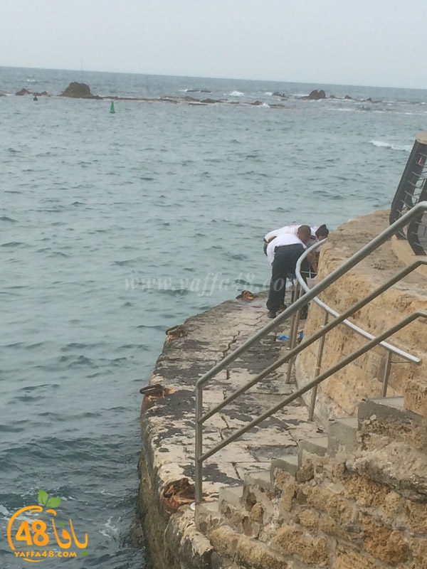 jothha mina2 yaffaj (11).JPG